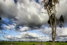 苏格兰vs匈牙利，这场欧国联对决谁能更胜一筹？