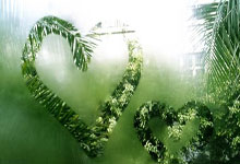 2024欧洲杯小组分组有哪些看点？各队出线形势如何？